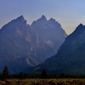 Meet your Posher, Garrett